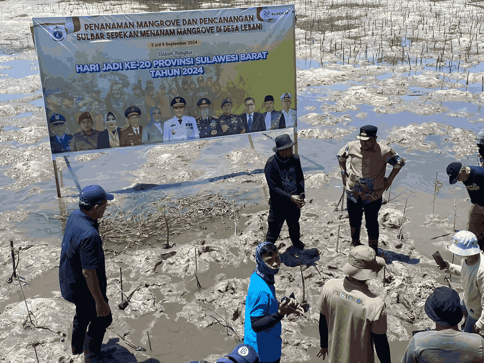 Iksan Mustari : Program \"Sulbar Sepekan Menanam Mangrove \" Bentuk Nyata Komitmen Pemprov Sulbar Le